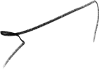 rayas-3